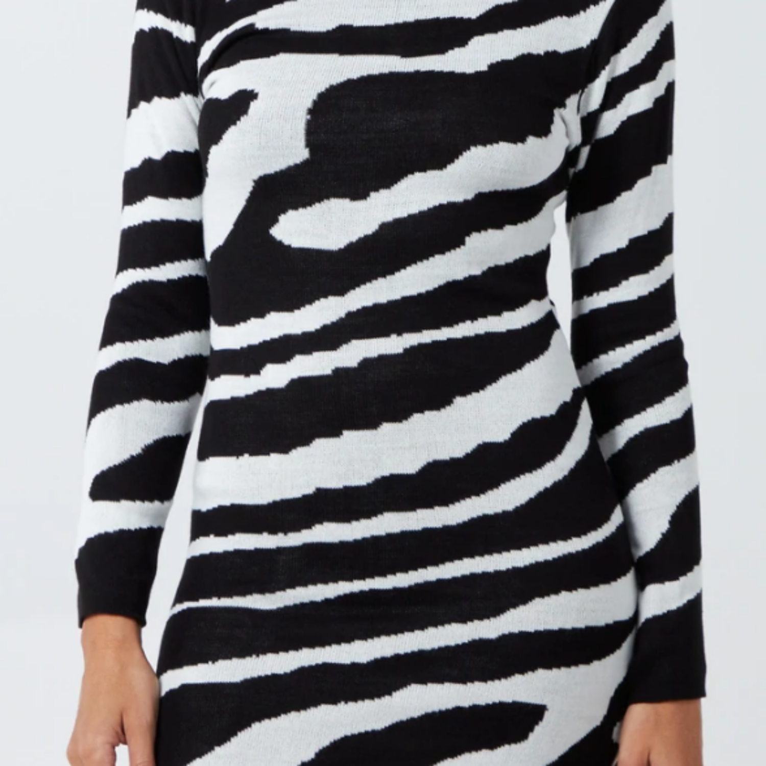 Zebra Bodycon Dress